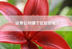 证券公司哪个比较好呢？