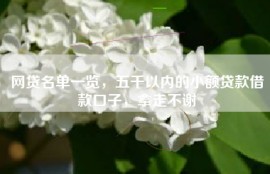 网贷名单一览，五千以内的小额贷款借款口子，拿走不谢