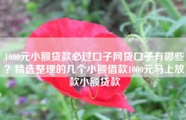 1000元小额贷款必过口子网贷口子有哪些？精选整理的几个小额借款1000元马上放款小额贷款