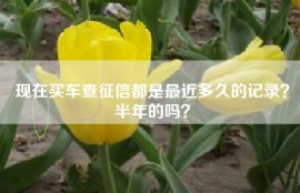 现在买车查征信都是最近多久的记录？半年的吗？