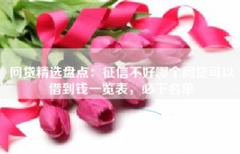 网贷精选盘点：征信不好哪个网贷可以借到钱一览表，必下名单