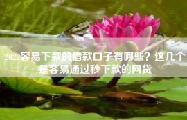2022容易下款的借款口子有哪些？这几个是容易通过秒下款的网贷