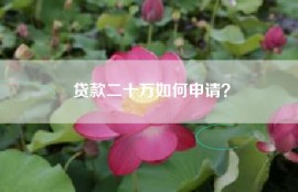 贷款二十万如何申请？