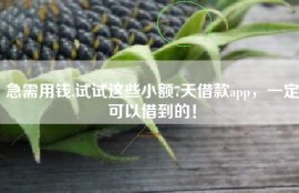 急需用钱,试试这些小额7天借款app，一定可以借到的！