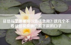 征信花了哪里可以借钱急用？这几个不看征信花负债也能下款的口子