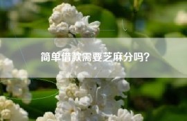 简单借款需要芝麻分吗？