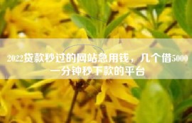 2022贷款秒过的网站急用钱，几个借5000一分钟秒下款的平台