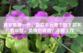 独家整理一份，贷款平台哪个好下款不看征信，负债也能借，不看工作