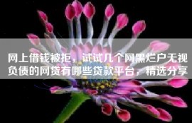 网上借钱被拒，试试几个网黑烂户无视负债的网贷有哪些贷款平台，精选分享