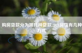 购房贷款分为哪几种贷款,2021房贷有几种方式