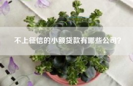 不上征信的小额贷款有哪些公司？