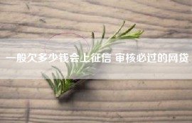 一般欠多少钱会上征信 审核必过的网贷