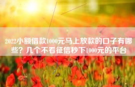 2022小额借款1000元马上放款的口子有哪些？几个不看征信秒下1000元的平台