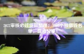 2022审核必过贷款整理：5000小额借钱名单，盘点分享！
