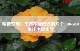 精选整理！千万不能错过的几个1000-5000借钱小额贷款