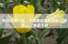 网贷名单一览，不需要征信的贷款app网贷app，拿走不谢