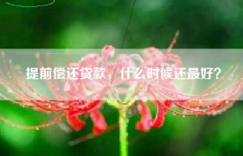 提前偿还贷款，什么时候还最好？