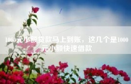 1000元小额贷款马上到账，这几个是1000元小额快速借款