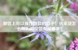 微信上可以操作借款的口子：兴家贷怎么样？对征信有何要求？