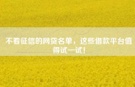 不看征信的网贷名单，这些借款平台值得试一试！