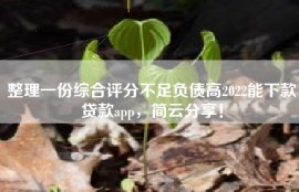 整理一份综合评分不足负债高2022能下款贷款app，简云分享！