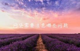 网贷需要注意哪些问题