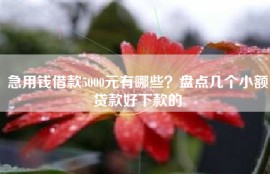 急用钱借款5000元有哪些？盘点几个小额贷款好下款的