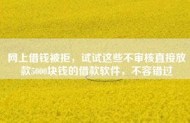 网上借钱被拒，试试这些不审核直接放款5000块钱的借款软件，不容错过