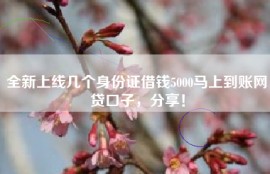 全新上线几个身份证借钱5000马上到账网贷口子，分享！