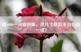 借4000一分钟到账，这几个贷款平台值得一试！