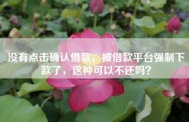 没有点击确认借款，被借款平台强制下款了，这种可以不还吗？