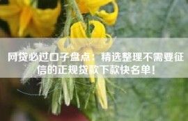 网贷必过口子盘点：精选整理不需要征信的正规贷款下款快名单！