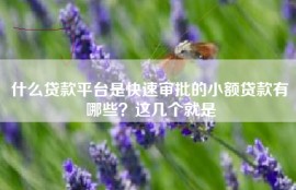 什么贷款平台是快速审批的小额贷款有哪些？这几个就是