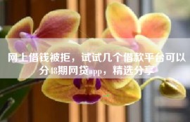 网上借钱被拒，试试几个借款平台可以分48期网贷app，精选分享