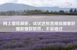 网上借钱被拒，试试这些急用钱哪里好借款借款软件，不容错过