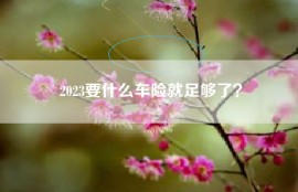 2023要什么车险就足够了？