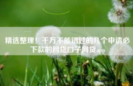 精选整理！千万不能错过的几个申请必下款的网贷口子网贷app