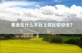 基金在什么平台上买比较安全？