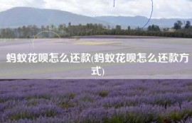 蚂蚁花呗怎么还款(蚂蚁花呗怎么还款方式)