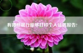 有哪些银行能够打印个人征信报告?