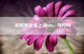 农民养老金上调600，可行吗