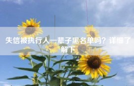 失信被执行人一辈子黑名单吗？详细了解下