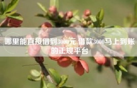 哪里能直接借到3000元,借款3000马上到账的正规平台