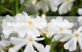 腾讯信用分，你的信用腾讯来打分！