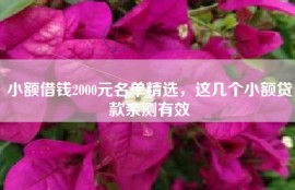 小额借钱2000元名单精选，这几个小额贷款亲测有效