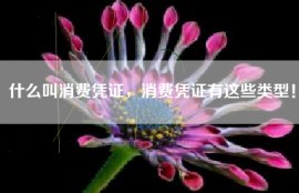 什么叫消费凭证，消费凭证有这些类型！