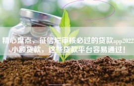 精心盘点，征信烂审核必过的贷款app2022小额贷款，这些贷款平台容易通过！