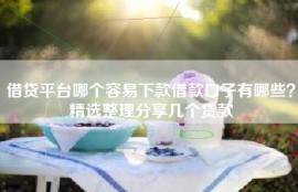 借贷平台哪个容易下款借款口子有哪些？精选整理分享几个贷款
