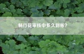 畅行花审核中多久到账？