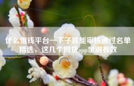 什么借钱平台一下子就能审核通过名单精选，这几个网贷app亲测有效
